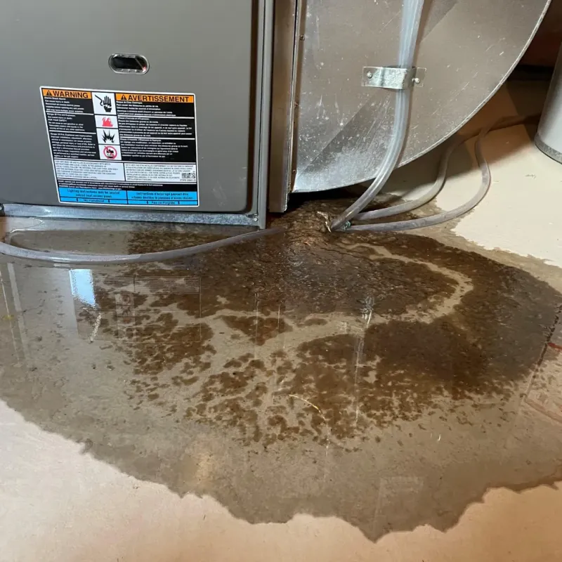 Appliance Leak Cleanup in Dover, MA